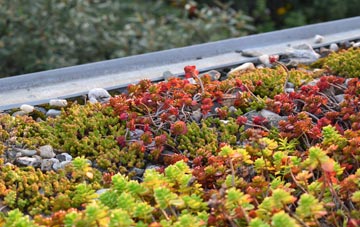 the cost of Loch A Ghainmhich green roof installation