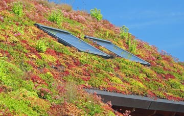 Loch A Ghainmhich living roof systems